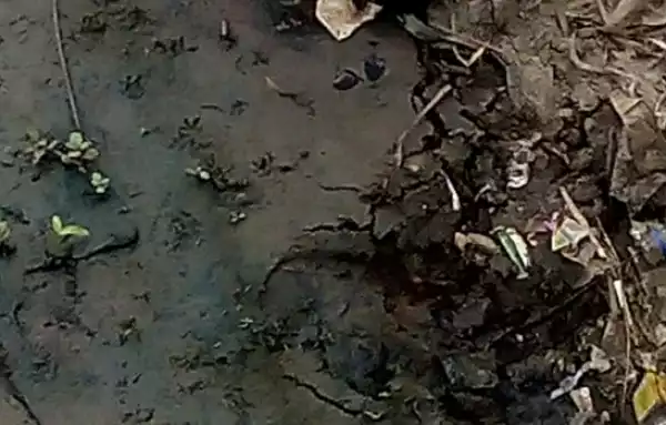 A Lifeless Baby Found In Canal In Lagos [See Photo]